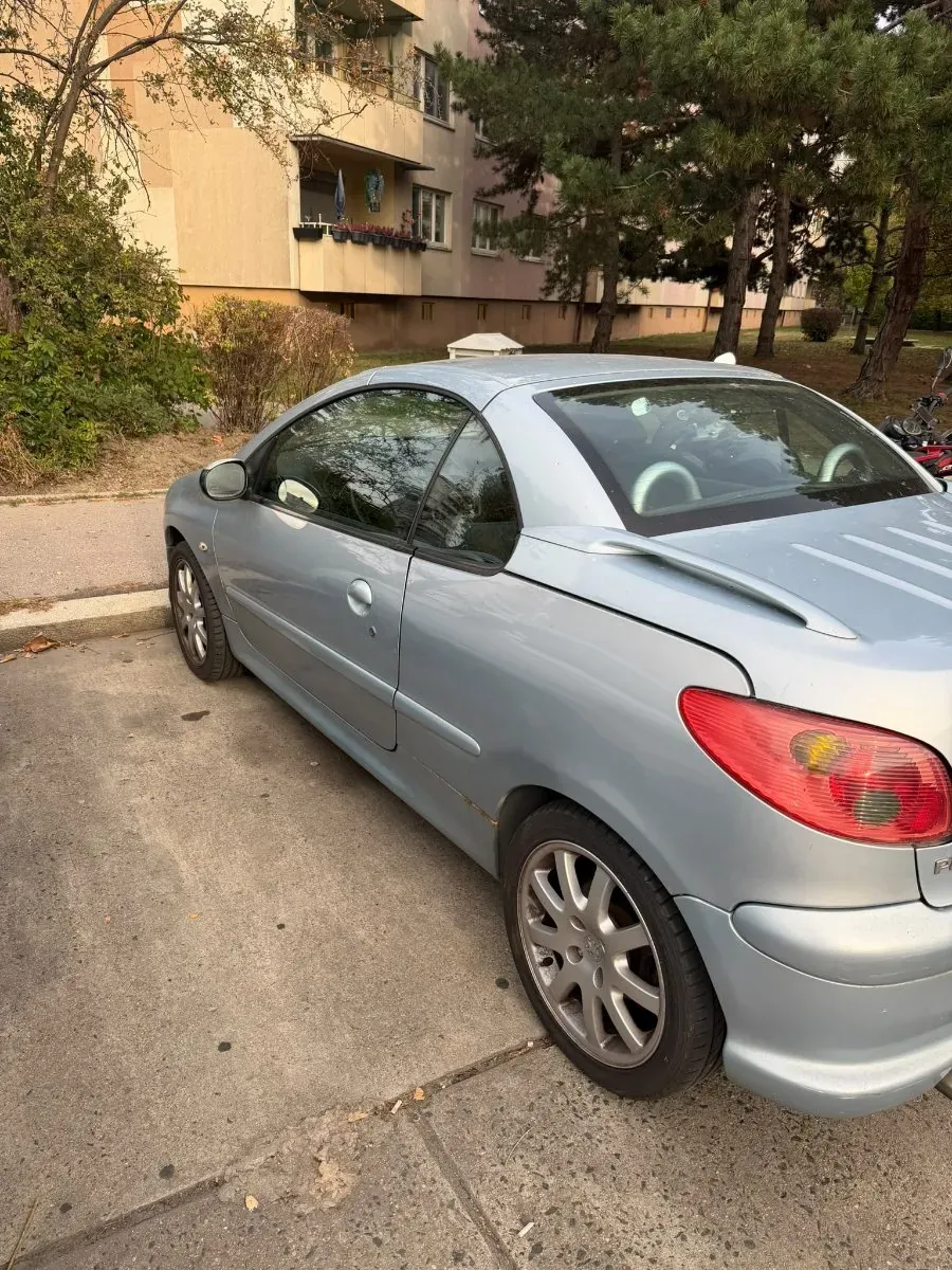 Peugeot 206 2006 photo 2