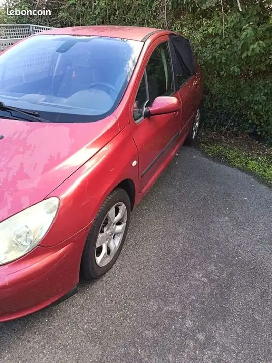 Peugeot 307 2004 photo 3