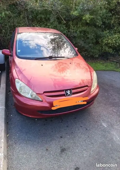 Peugeot 307 2004 photo 2