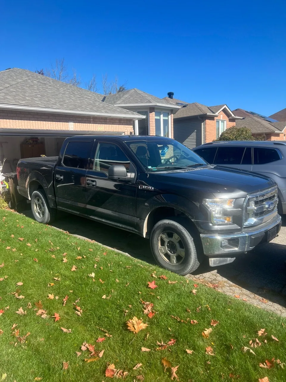 Ford F-150 2015 photo 3