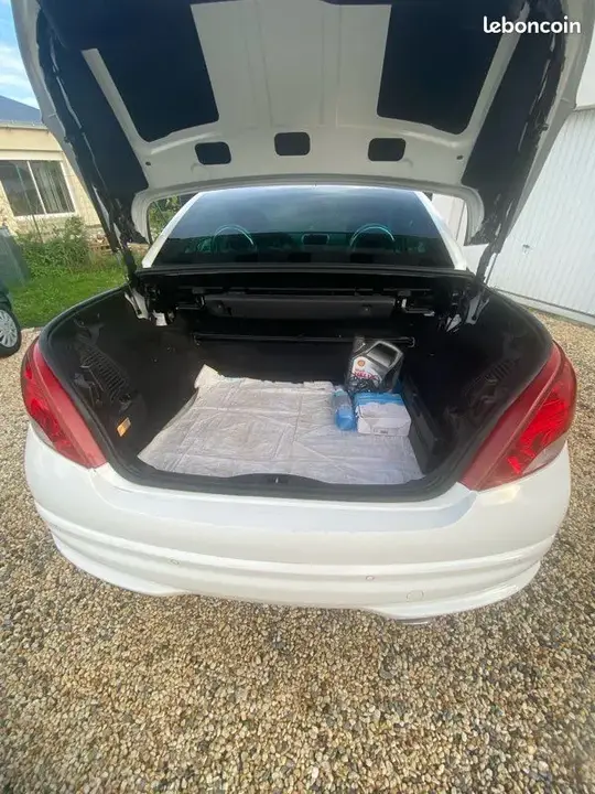 Peugeot 207 2010 photo 3