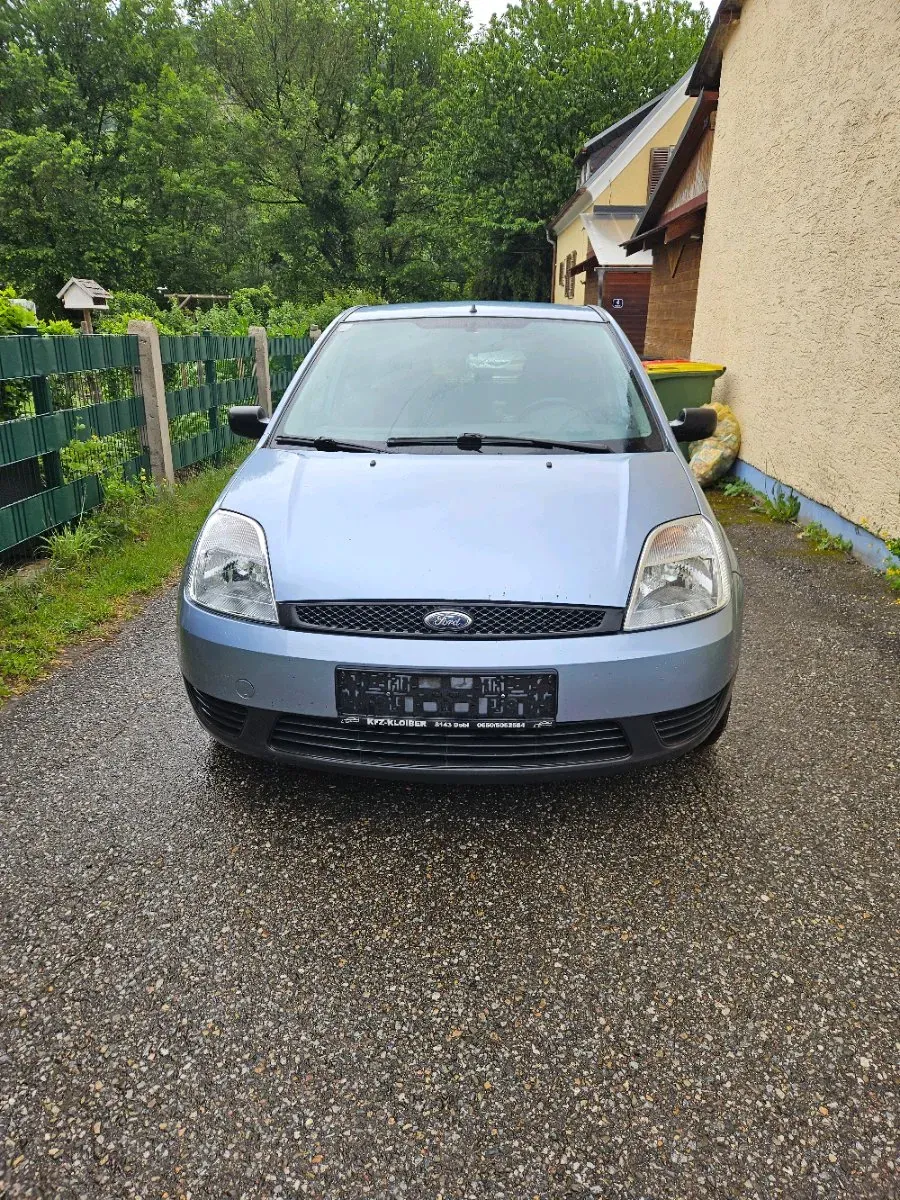 Ford Fiesta 2004 photo 3
