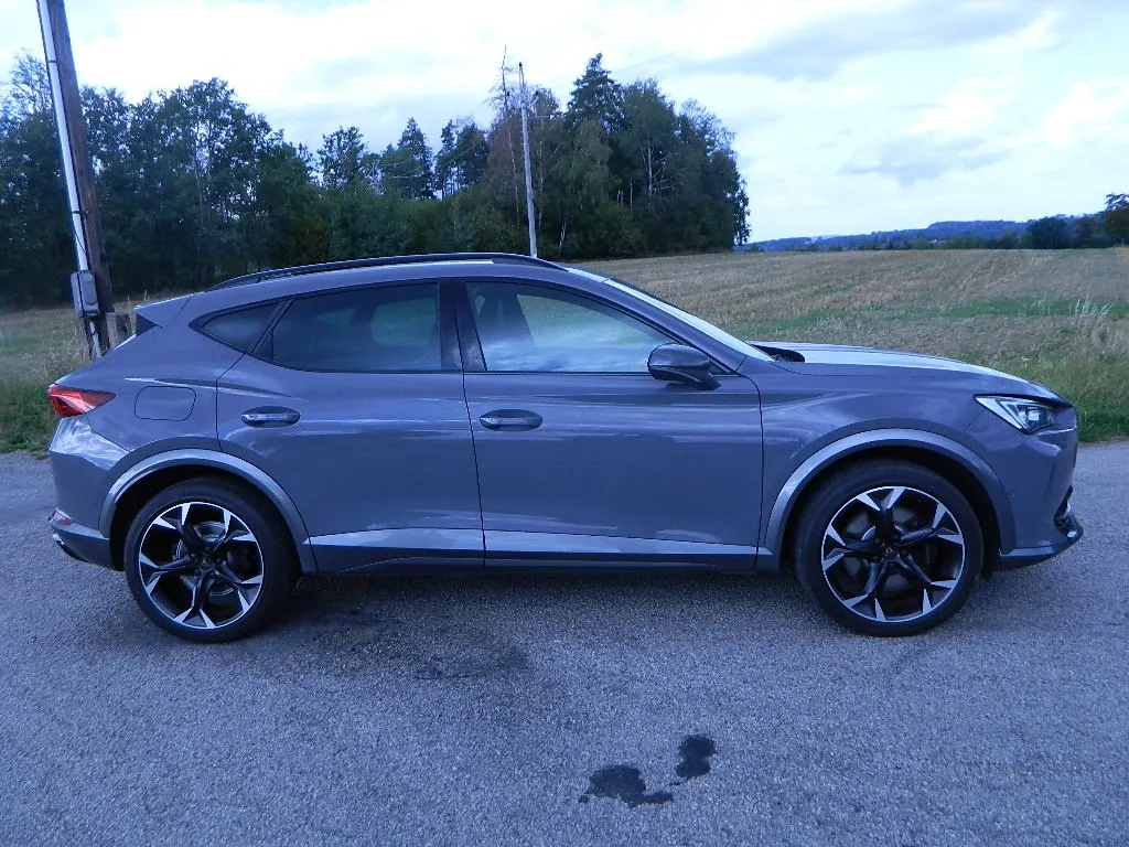 Cupra Formentor 2022 photo 4