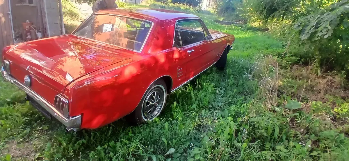 Ford Mustang 1966 photo 2