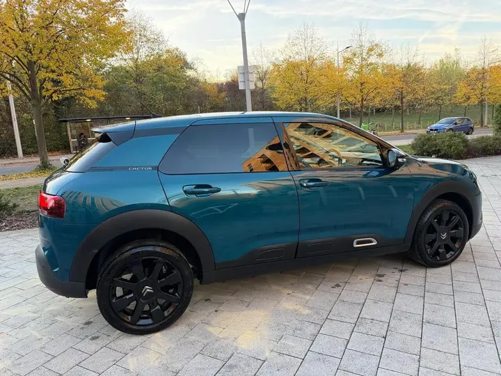 Citroen C4 Cactus 2019 photo 5