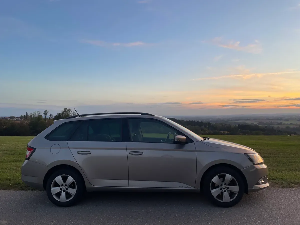 Skoda Fabia 2015 photo 2