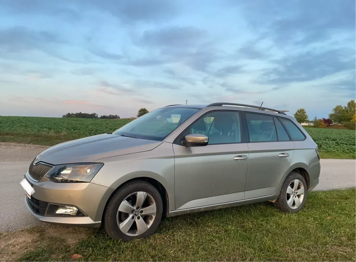 Skoda Fabia 2015 photo 3