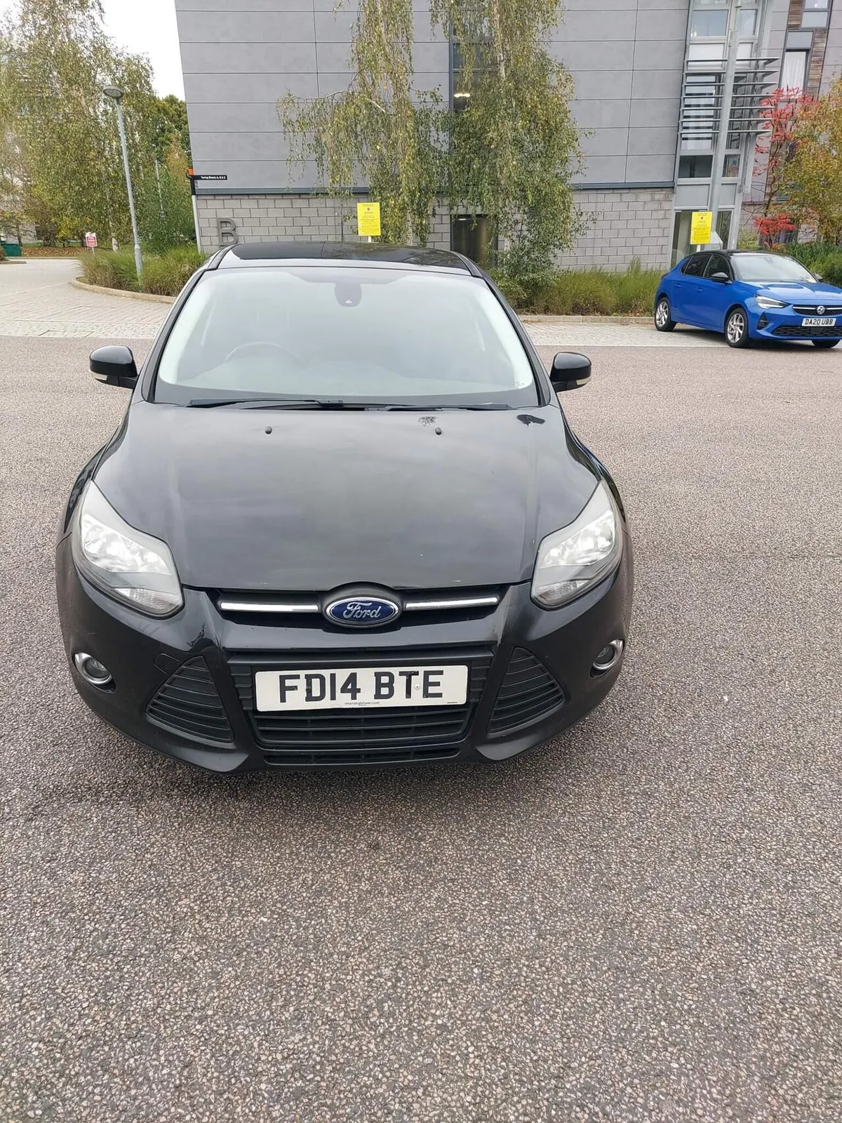 Ford Focus 2014 photo 5