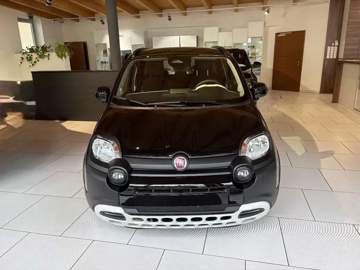 Fiat Pandina