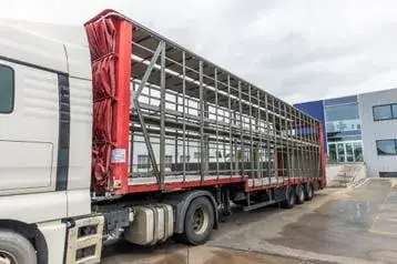 Aanhangers En Opleggers Lecitrailer Cuello Cisne 3E-Rd+Double Etage+Dhollandia 2Ton