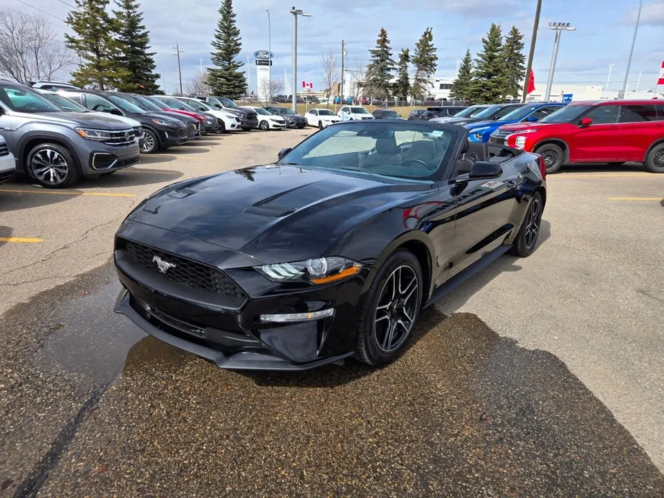 Ford Mustang 2023 photo 3