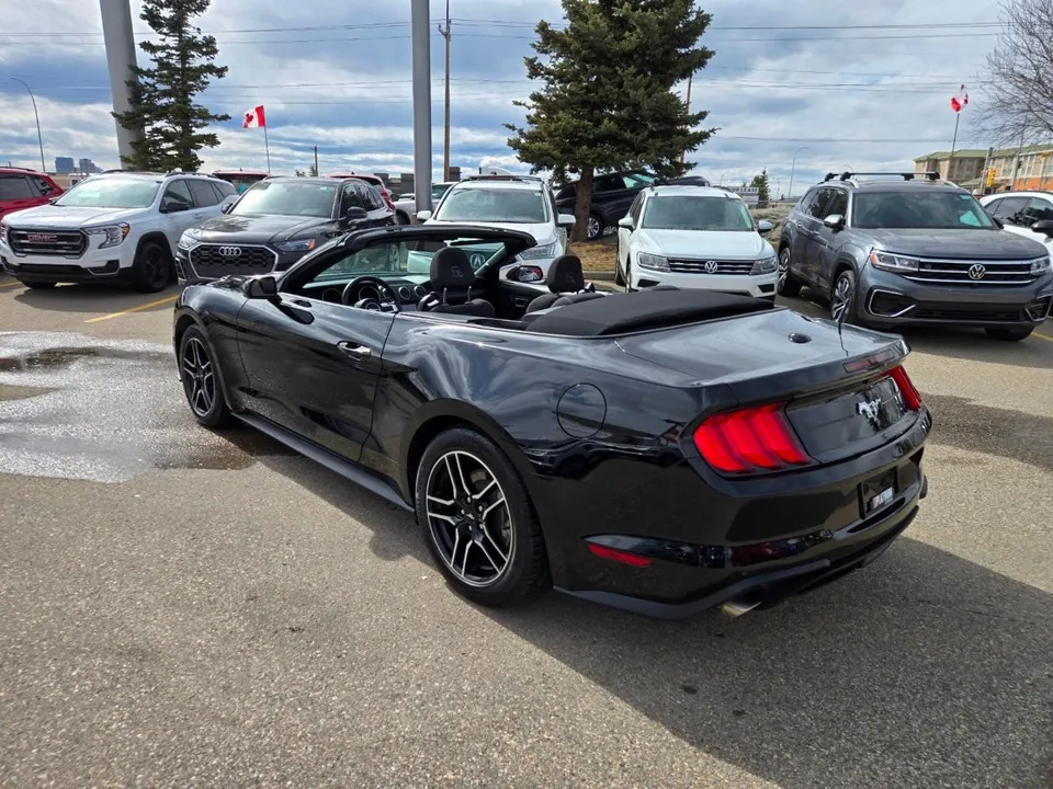 Ford Mustang 2023 photo 5