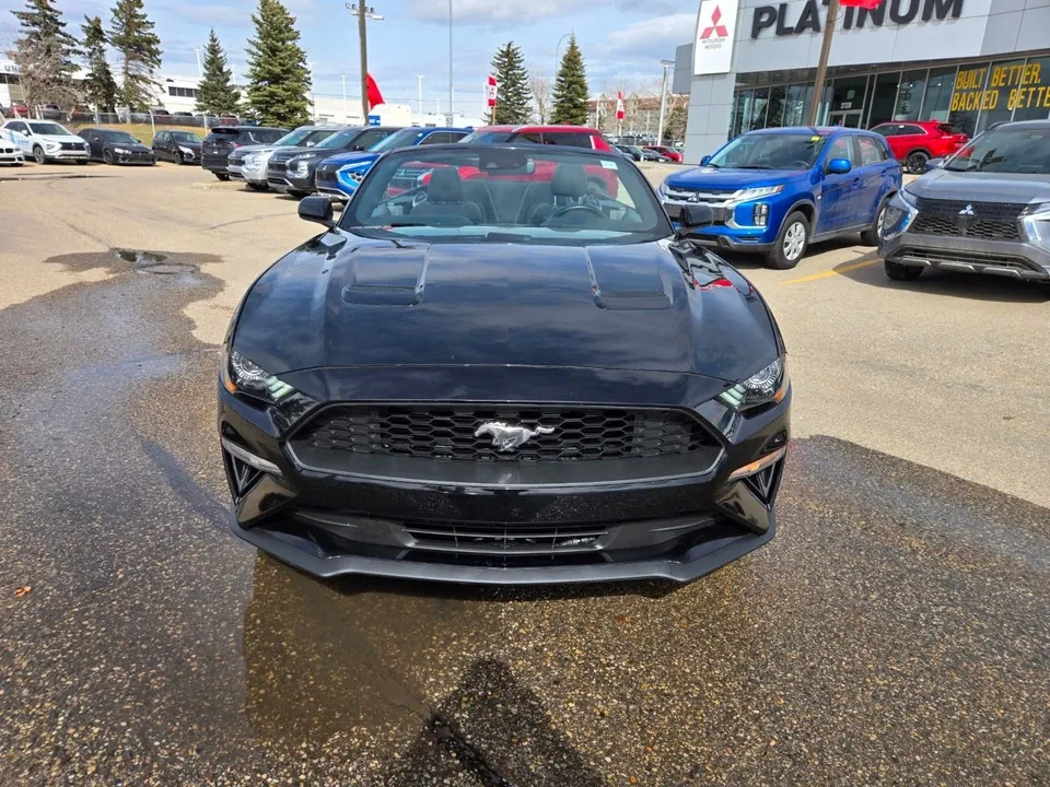 Ford Mustang 2023 photo 2