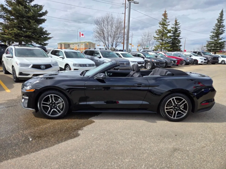 Ford Mustang 2023 photo 4