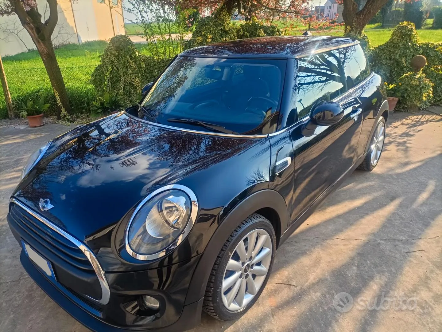 Mini Mini