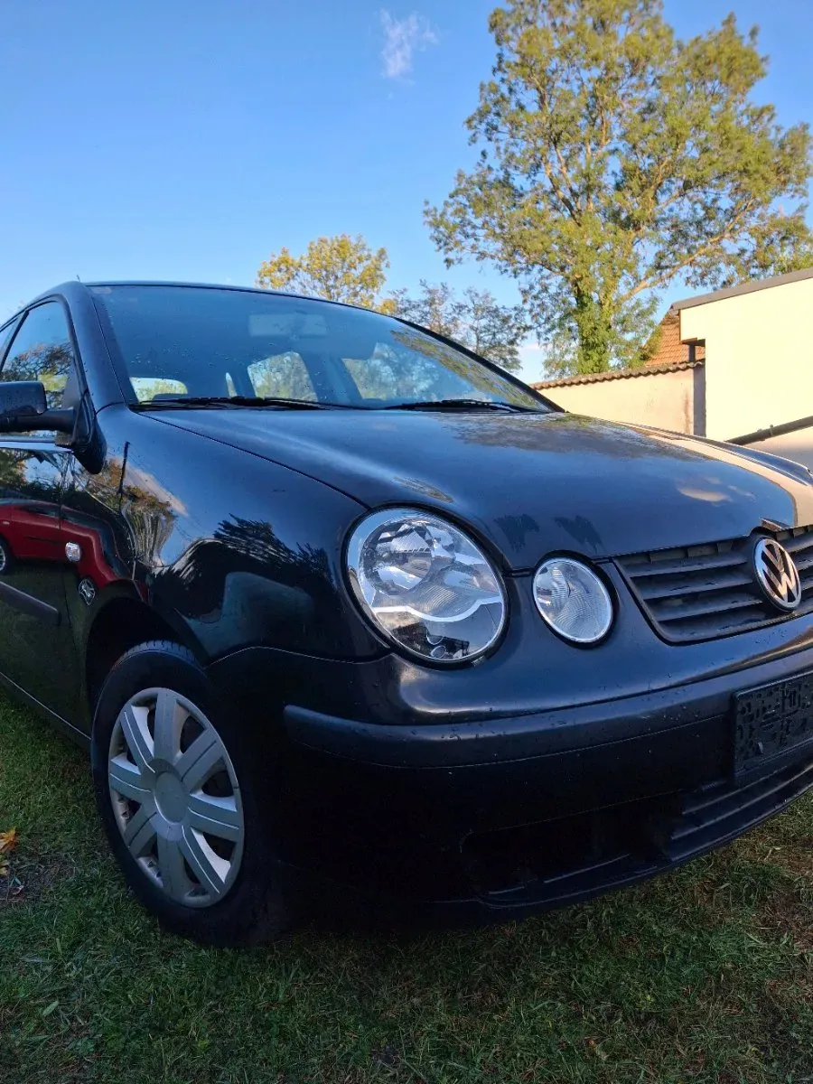 Volkswagen Polo 2006 photo 2