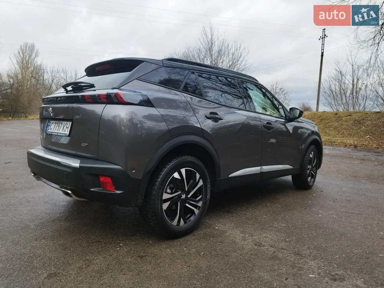 Peugeot 2008 2021 photo 5