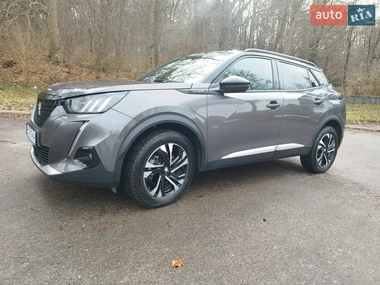 Peugeot 2008 2021 photo 2