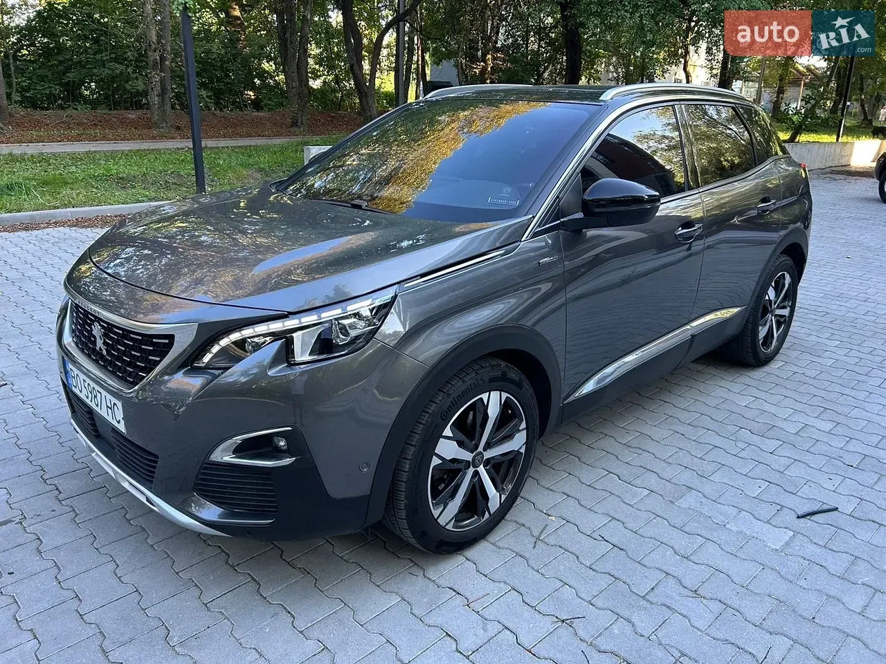 Peugeot 3008 2019 photo 4