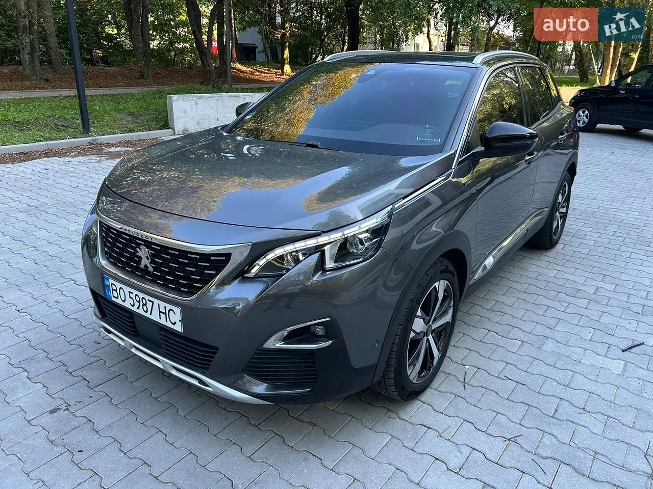 Peugeot 3008 2019 photo 2
