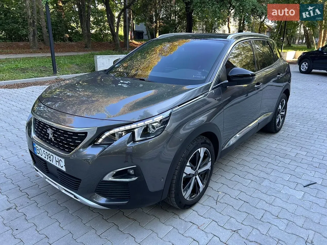 Peugeot 3008 2019 photo 3