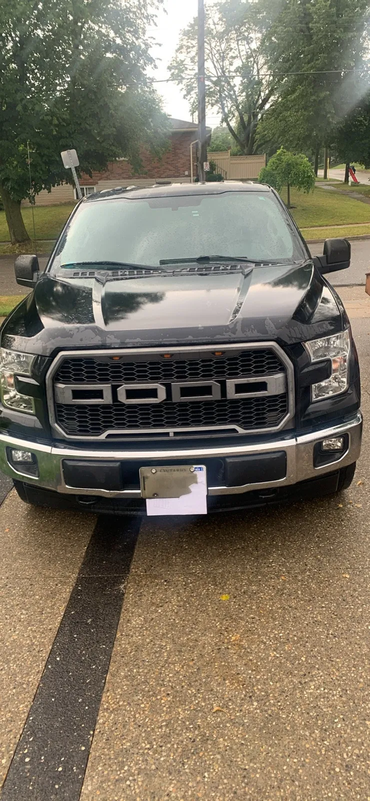 Ford F-150 2017 photo 2