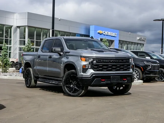 Chevrolet Silverado 1500 2024 photo 2
