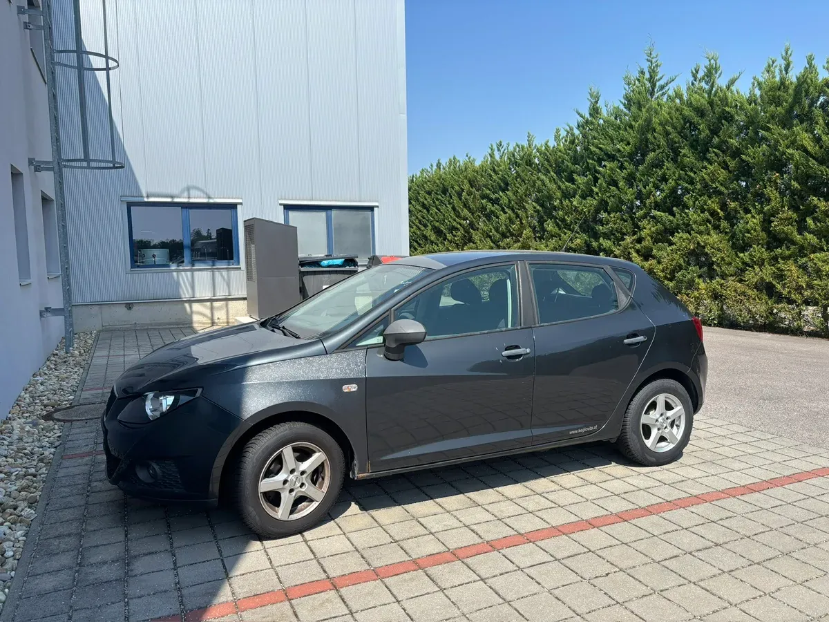Seat Ibiza 2011 photo 3