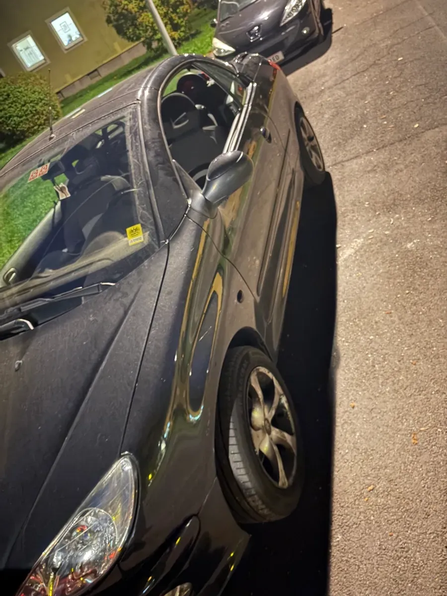 Peugeot 206 2006 photo 2