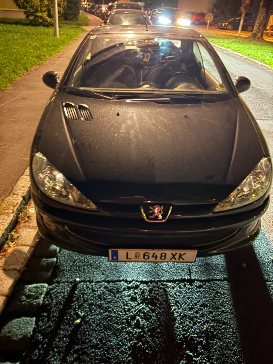 Peugeot 206 2006 photo 3