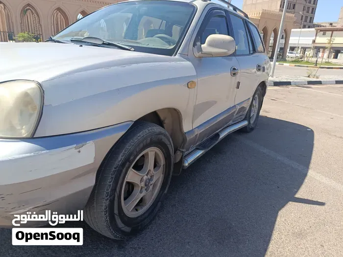 Hyundai Santa Fe 2002 photo 4
