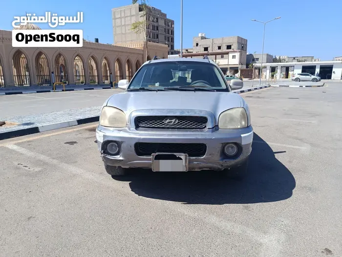 Hyundai Santa Fe 2002 photo 2