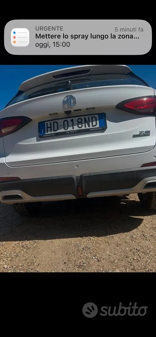 MG Zs 2026 photo 4