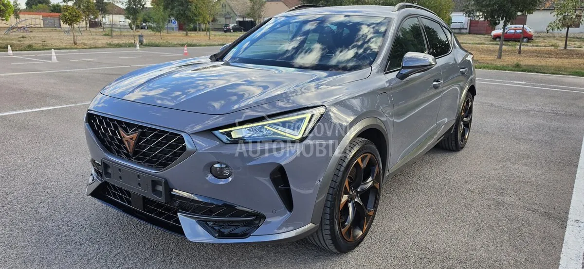 Cupra Formentor 2022 photo 2