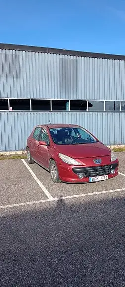 Peugeot 307