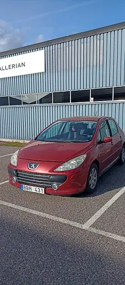 Peugeot 307 2007 photo 3