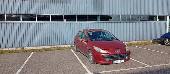 Peugeot 307 2007 photo 2