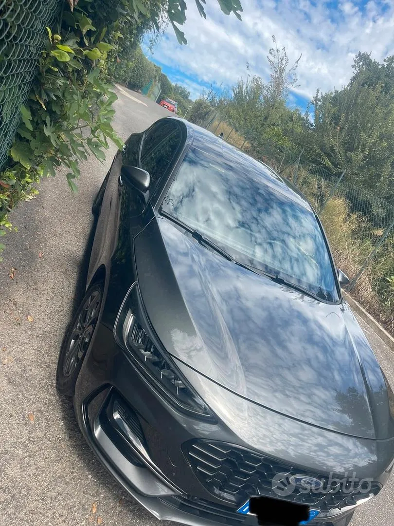 Ford Focus 2022 photo 4