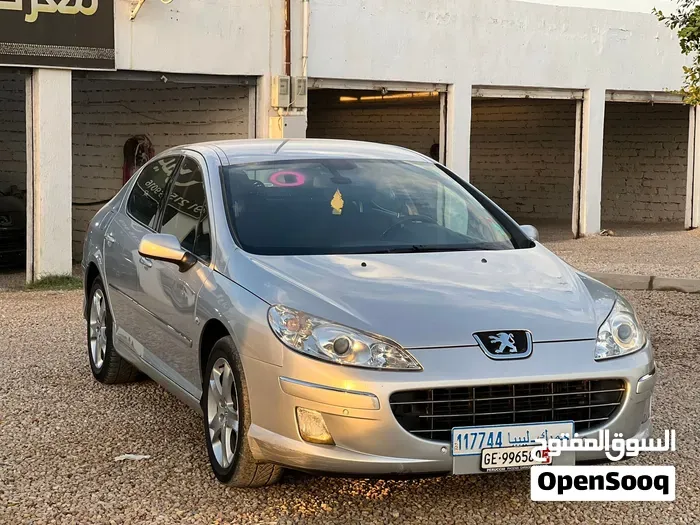 Peugeot 407 2009 photo 3