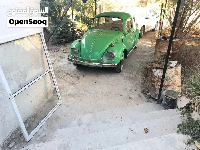 Volkswagen Beetle 1961 photo 3