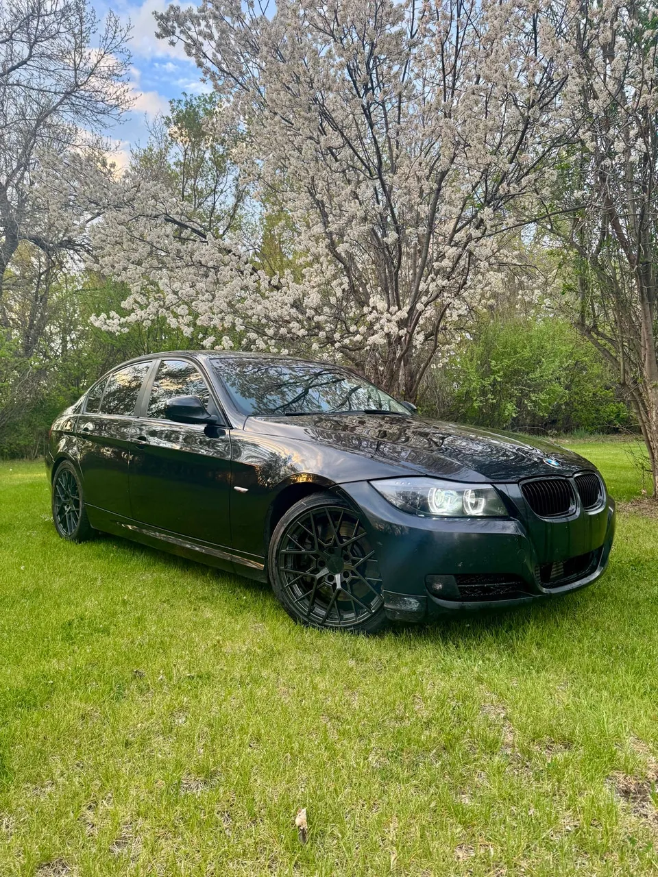 BMW 335D