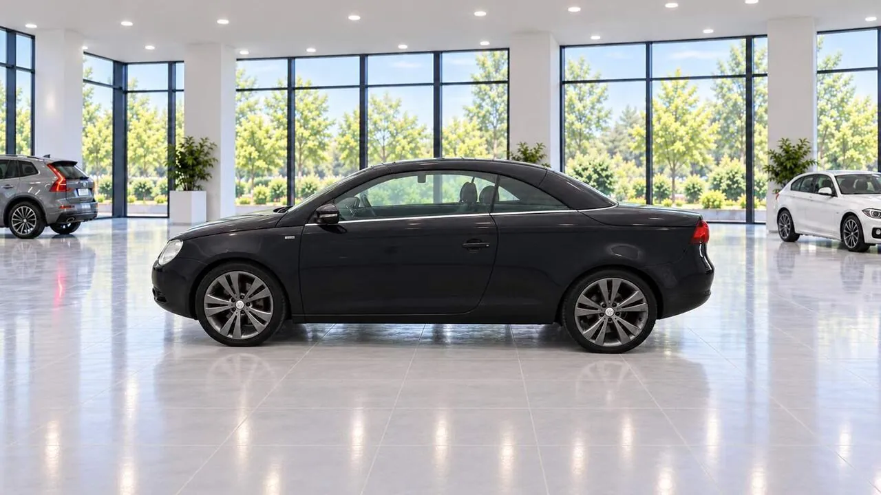 Volkswagen Eos 2010 photo 5