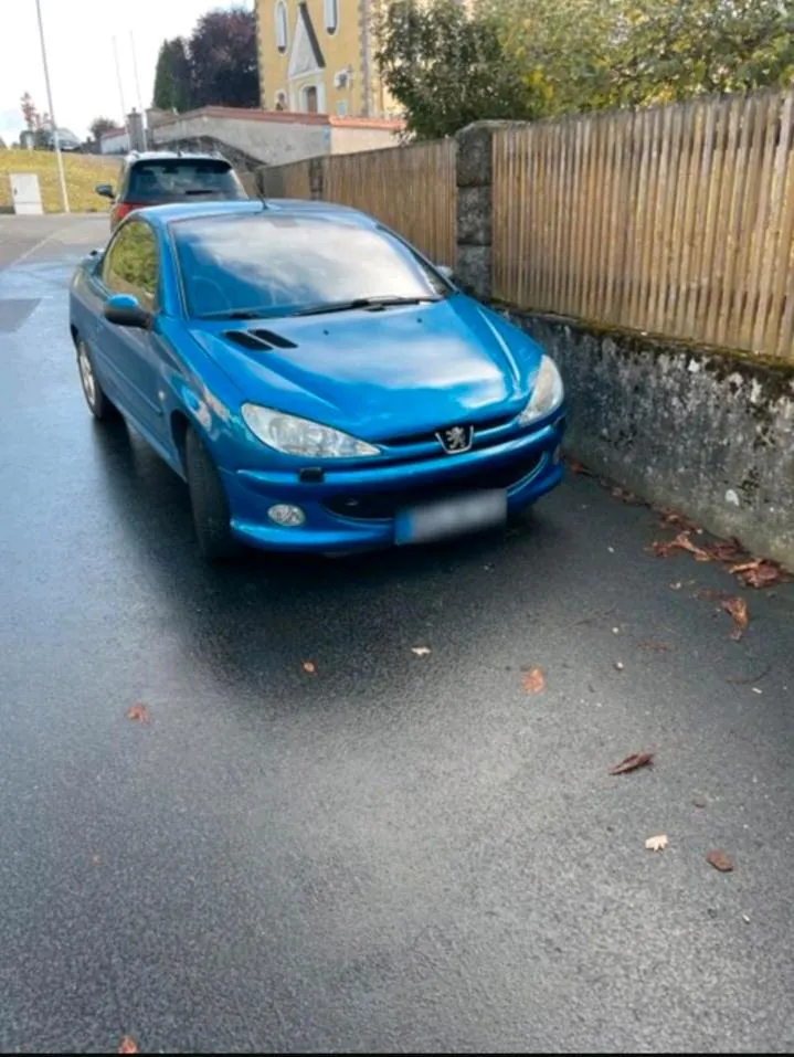 Peugeot 206