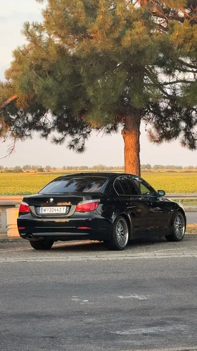 BMW 5 Series 2009 photo 3