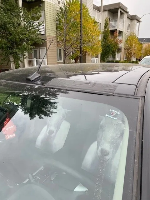 Ford Edge 2014 photo 2