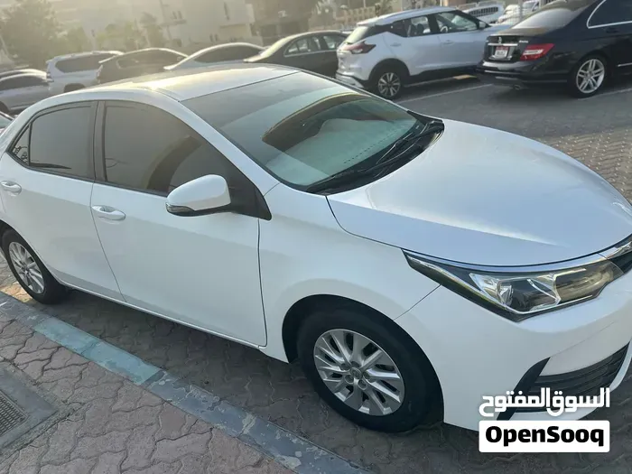 Toyota Corolla 2019 photo 3