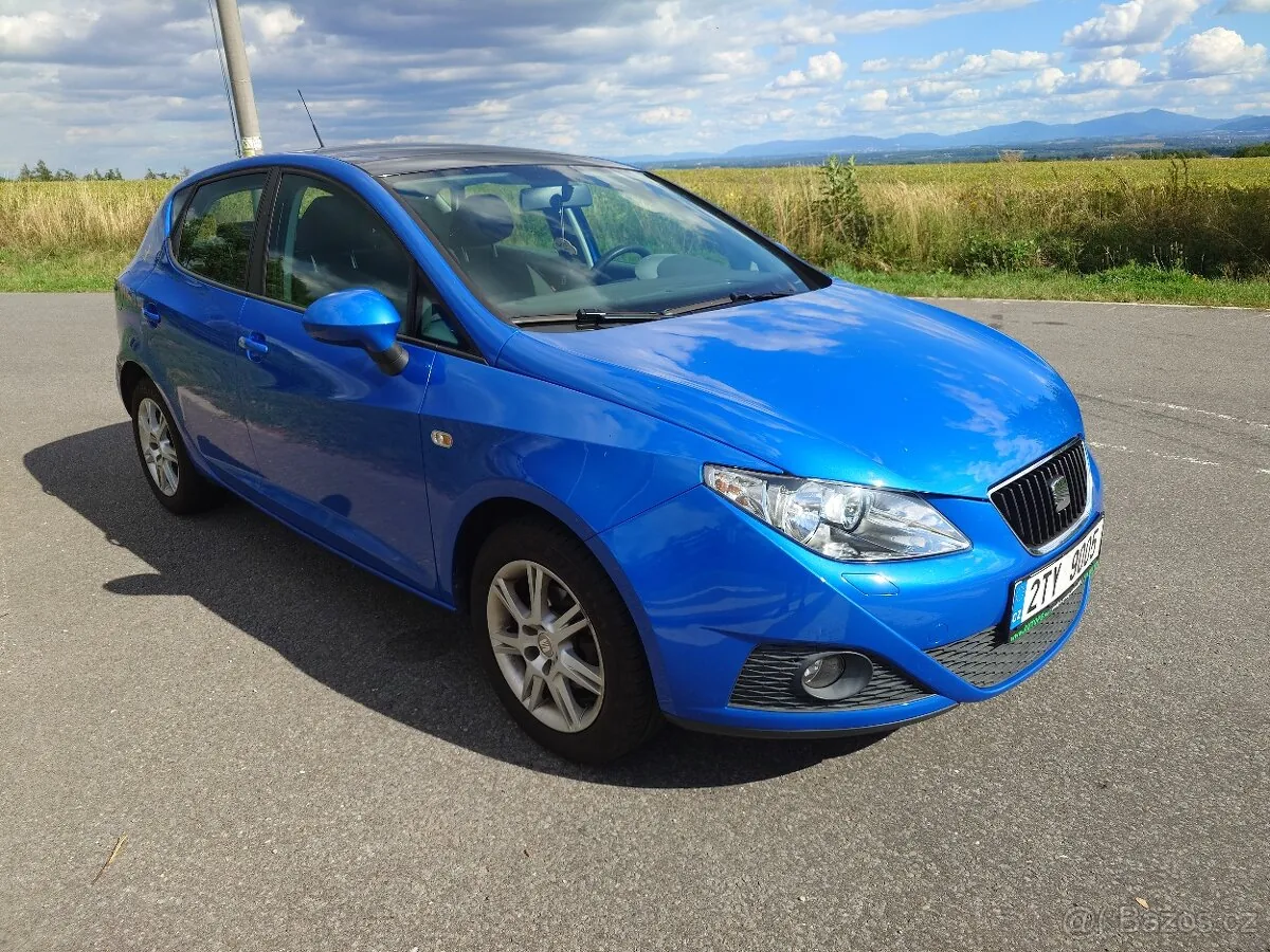 Seat Ibiza 2010 photo 4