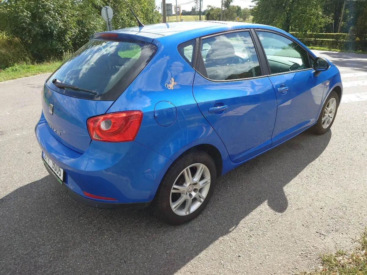 Seat Ibiza 2010 photo 3