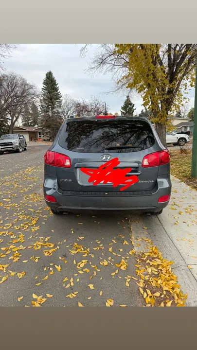 Hyundai Santa Fe 2008 photo 2