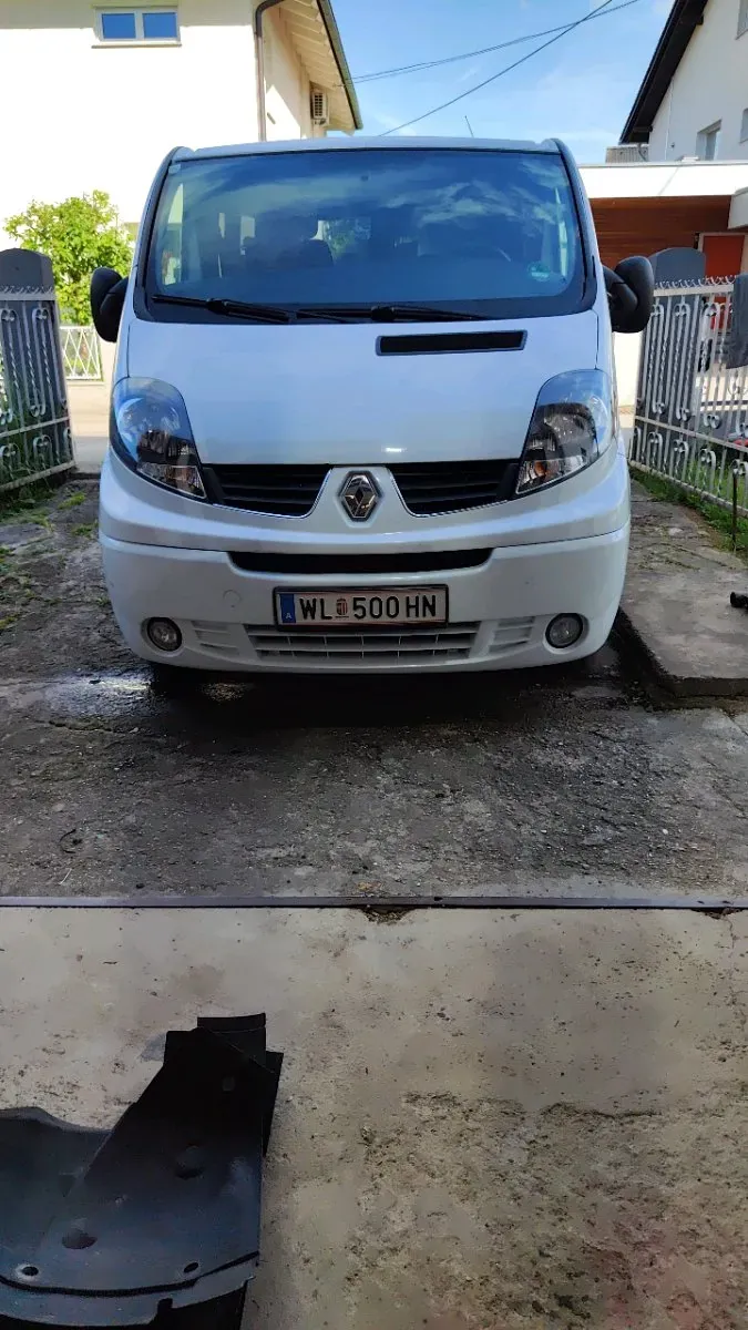 Renault Trafic 2008 photo 2